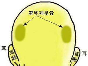 骨相圖解：翠環(huán)列星骨