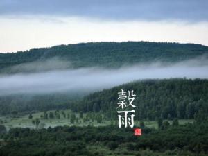 谷雨是什么時候？二十四節(jié)氣之谷雨的由來與含義