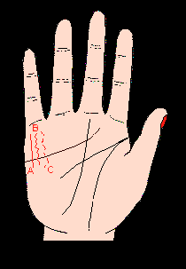 手相財(cái)運(yùn)線，財(cái)運(yùn)線圖解，手相財(cái)運(yùn)線算命圖解