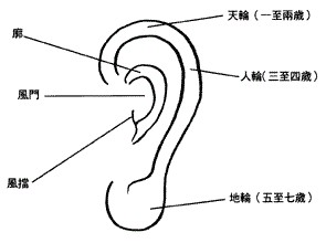 耳朵面相算命圖解大全-從耳朵看一生運勢吉兇