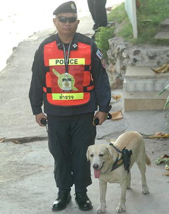 泰國(guó)警方為加強(qiáng)攻擊力給警犬配槍，警犬專用手槍肩套(組圖)