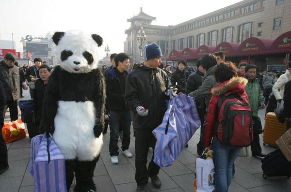 行為藝術(shù)？旅客穿熊貓玩偶服扮成大熊貓體驗春運遭圍觀