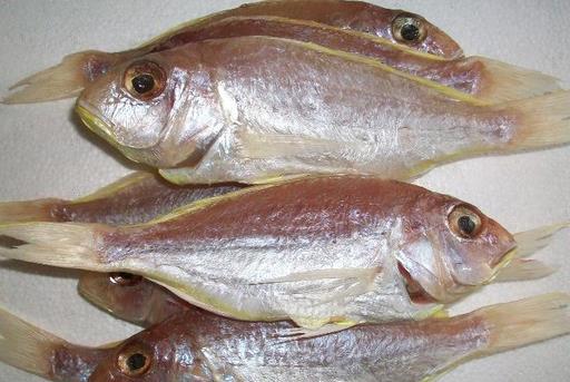 什么是冰鮮食品？如何區(qū)分冰鮮魚和冰凍魚？