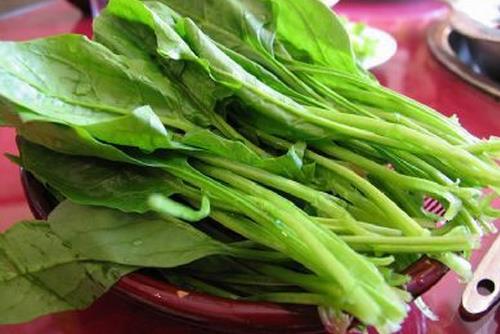 菠菜營(yíng)養(yǎng)功效及食用注意事項(xiàng)