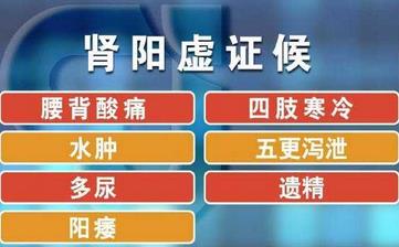 【腎陽虛】腎陽虛的表現_腎陽虛吃什么_腎陽虛的原因_腎陽虛的癥狀