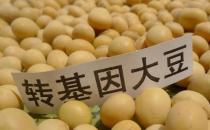 ?轉(zhuǎn)基因技術(shù)的安全性分析 生產(chǎn)轉(zhuǎn)基因食品的原因