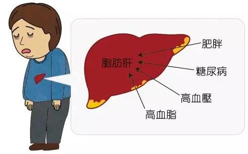 貴州治丙肝醫(yī)院靠不靠譜 貴州中醫(yī)肝病醫(yī)院質(zhì)量醫(yī)療的踐行者