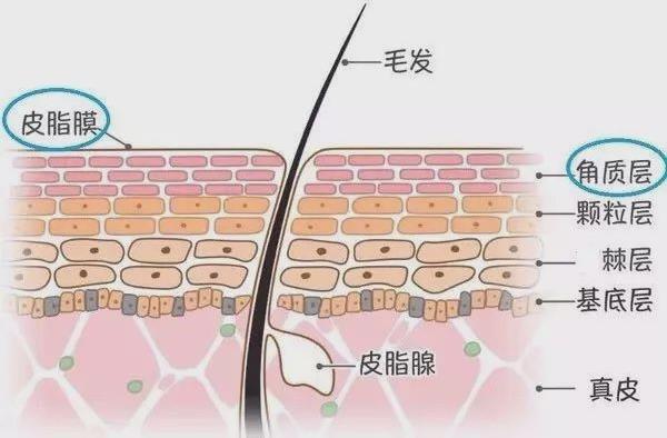 年前肌膚大拯救，萊斯歐肌膚修護(hù)三部曲！